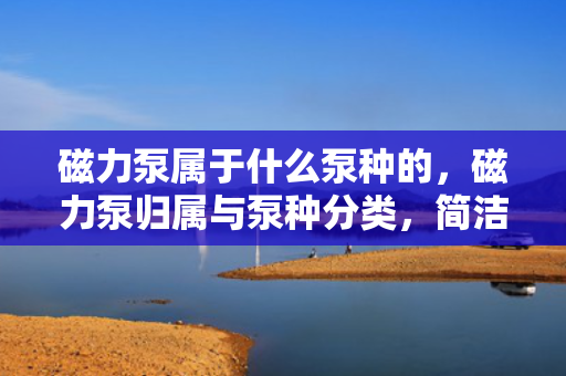 磁力泵属于什么泵种的，磁力泵归属与泵种分类，简洁明了，直接表达了磁力泵属于泵的一种。