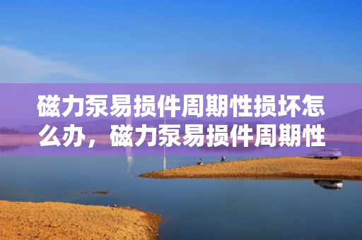 磁力泵易损件周期性损坏怎么办，磁力泵易损件周期性损坏解决方案探讨