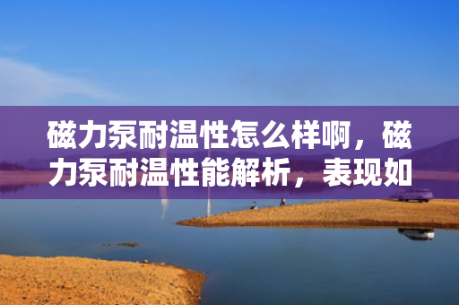 磁力泵耐温性怎么样啊，磁力泵耐温性能解析，表现如何？