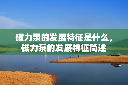 磁力泵的发展特征是什么，磁力泵的发展特征简述