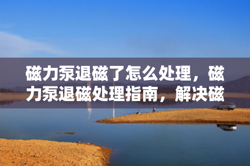 磁力泵退磁了怎么处理，磁力泵退磁处理指南，解决磁力泵退磁问题的方法