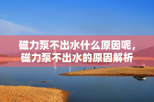 磁力泵不出水什么原因呢，磁力泵不出水的原因解析