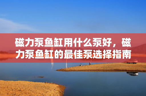 磁力泵鱼缸用什么泵好，磁力泵鱼缸的最佳泵选择指南