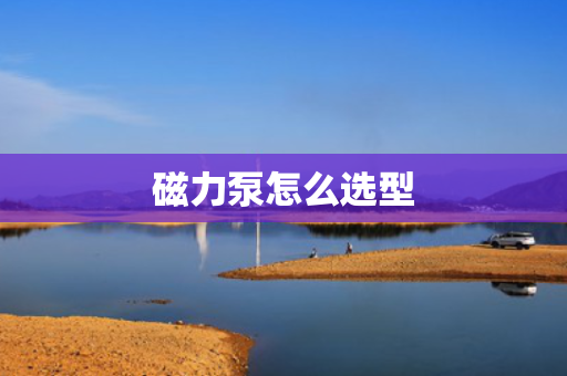 磁力泵怎么选型