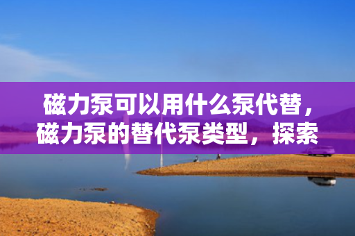 磁力泵可以用什么泵代替，磁力泵的替代泵类型，探索替代方案