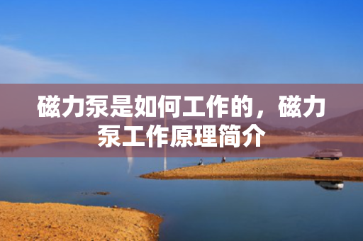 磁力泵是如何工作的，磁力泵工作原理简介