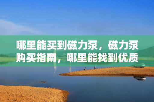 哪里能买到磁力泵，磁力泵购买指南，哪里能找到优质磁力泵？