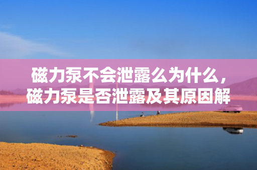 磁力泵不会泄露么为什么，磁力泵是否泄露及其原因解析