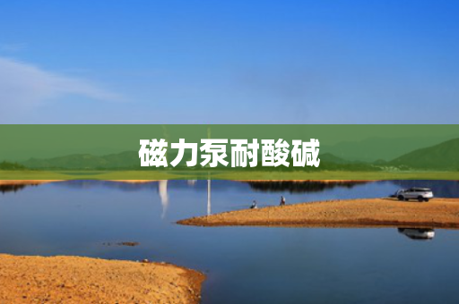 磁力泵耐酸碱