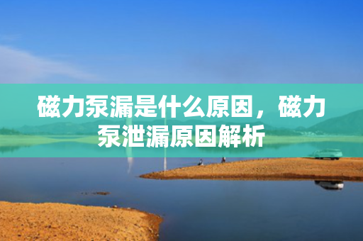 磁力泵漏是什么原因，磁力泵泄漏原因解析