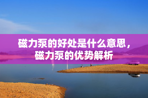 磁力泵的好处是什么意思，磁力泵的优势解析