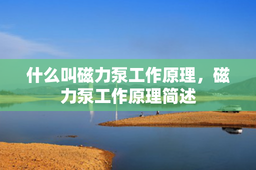 什么叫磁力泵工作原理，磁力泵工作原理简述