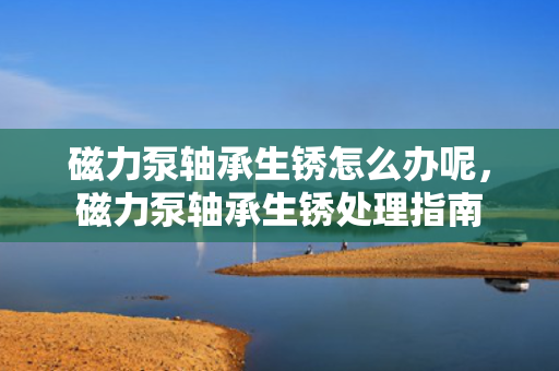 磁力泵轴承生锈怎么办呢，磁力泵轴承生锈处理指南