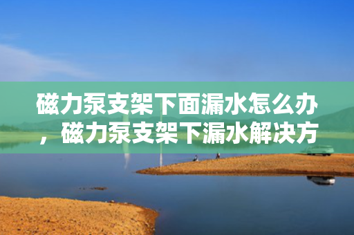 磁力泵支架下面漏水怎么办，磁力泵支架下漏水解决方案