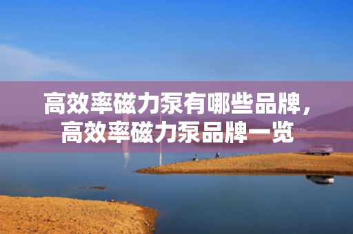 高效率磁力泵有哪些品牌，高效率磁力泵品牌一览