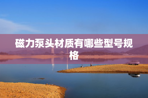 磁力泵头材质有哪些型号规格