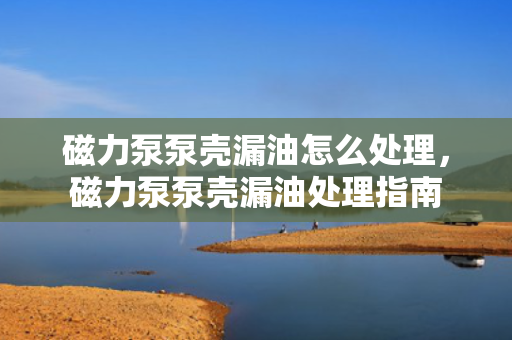 磁力泵泵壳漏油怎么处理，磁力泵泵壳漏油处理指南