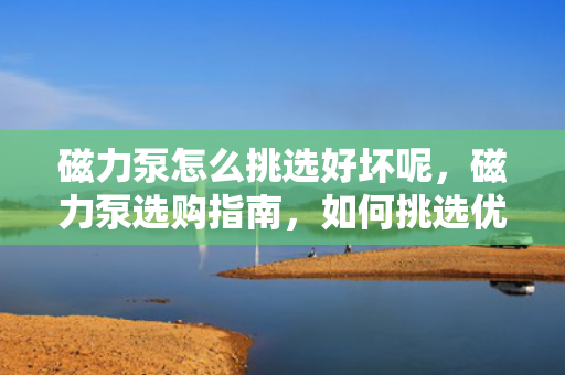 磁力泵怎么挑选好坏呢，磁力泵选购指南，如何挑选优质磁力泵？