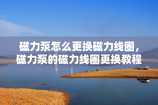 磁力泵怎么更换磁力线圈，磁力泵的磁力线圈更换教程