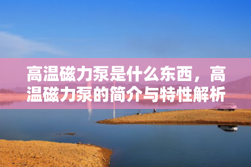高温磁力泵是什么东西，高温磁力泵的简介与特性解析