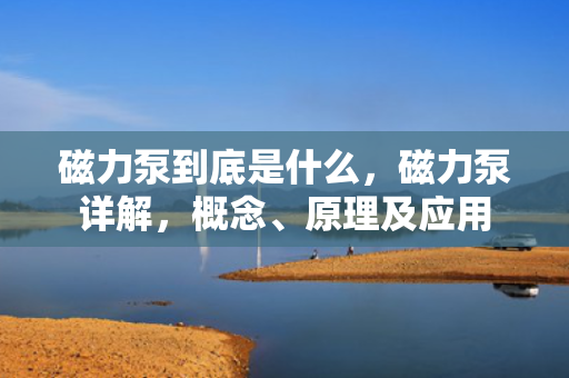 磁力泵到底是什么，磁力泵详解，概念、原理及应用