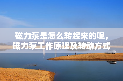 磁力泵是怎么转起来的呢，磁力泵工作原理及转动方式解析
