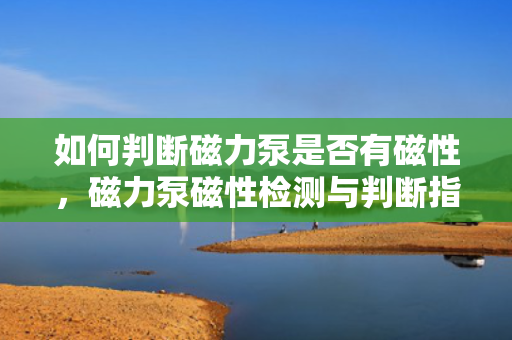 如何判断磁力泵是否有磁性，磁力泵磁性检测与判断指南