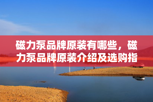 磁力泵品牌原装有哪些，磁力泵品牌原装介绍及选购指南