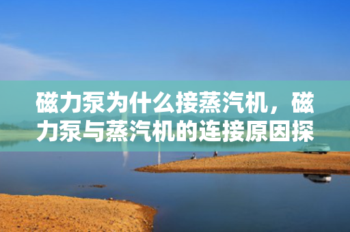 磁力泵为什么接蒸汽机，磁力泵与蒸汽机的连接原因探究