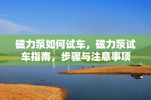 磁力泵如何试车，磁力泵试车指南，步骤与注意事项
