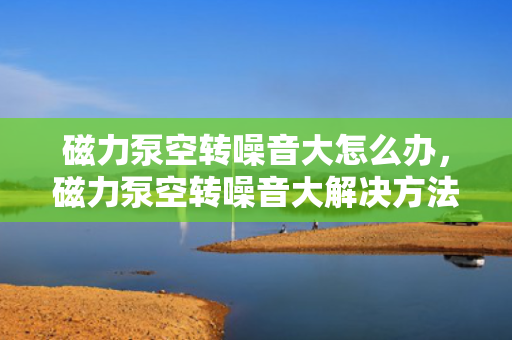 磁力泵空转噪音大怎么办，磁力泵空转噪音大解决方法探讨