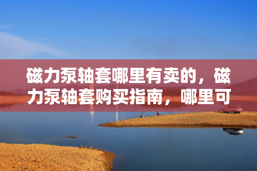 磁力泵轴套哪里有卖的，磁力泵轴套购买指南，哪里可以购买磁力泵轴套？