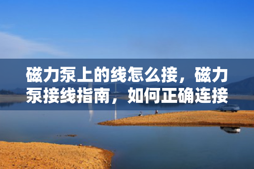 磁力泵上的线怎么接，磁力泵接线指南，如何正确连接磁力泵上的线路