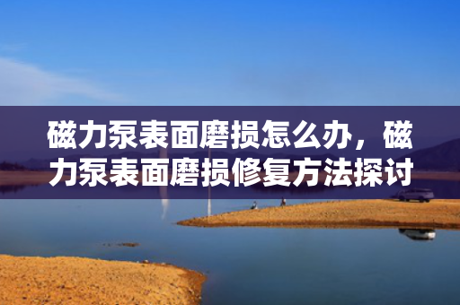 磁力泵表面磨损怎么办，磁力泵表面磨损修复方法探讨