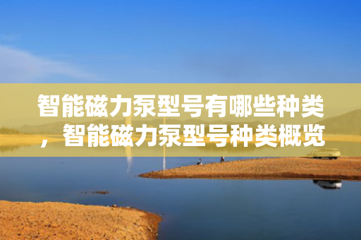 智能磁力泵型号有哪些种类，智能磁力泵型号种类概览
