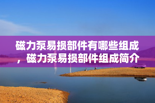 磁力泵易损部件有哪些组成，磁力泵易损部件组成简介