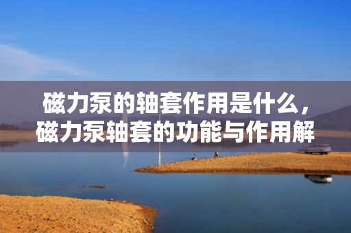 磁力泵的轴套作用是什么，磁力泵轴套的功能与作用解析