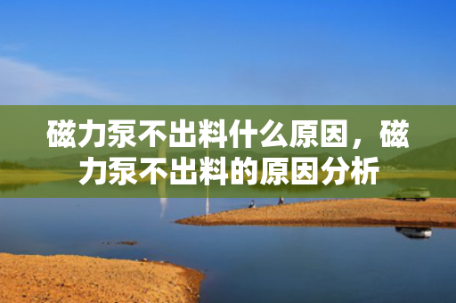 磁力泵不出料什么原因，磁力泵不出料的原因分析