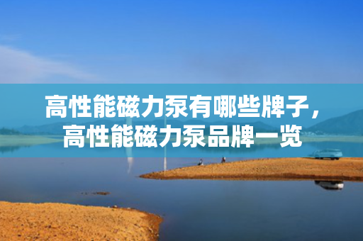 高性能磁力泵有哪些牌子，高性能磁力泵品牌一览