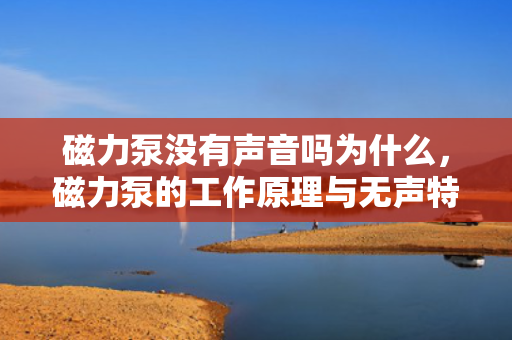 磁力泵没有声音吗为什么，磁力泵的工作原理与无声特性解析