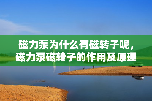 磁力泵为什么有磁转子呢，磁力泵磁转子的作用及原理探究，为何需要磁转子？