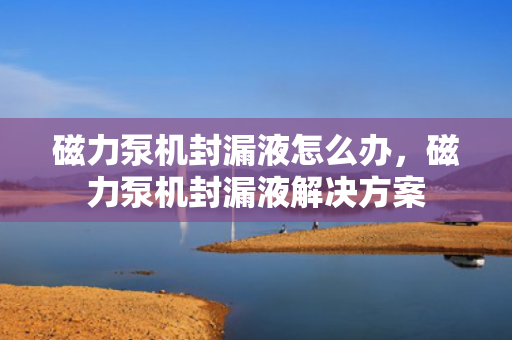 磁力泵机封漏液怎么办，磁力泵机封漏液解决方案