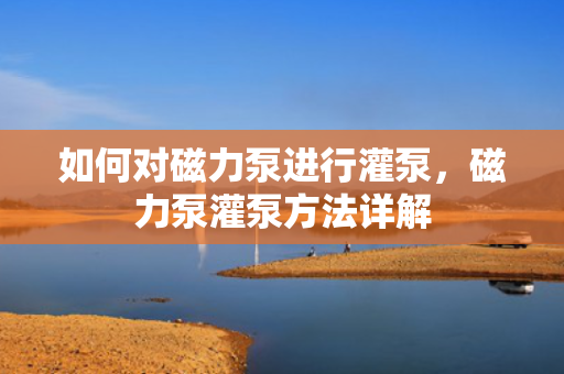 如何对磁力泵进行灌泵，磁力泵灌泵方法详解