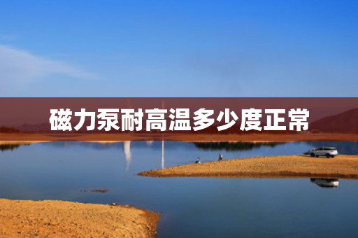 磁力泵耐高温多少度正常