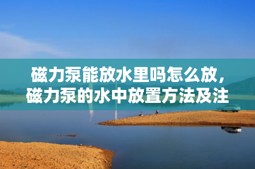 磁力泵能放水里吗怎么放，磁力泵的水中放置方法及注意事项