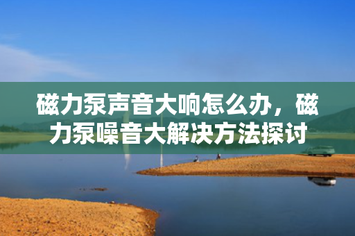 磁力泵声音大响怎么办，磁力泵噪音大解决方法探讨