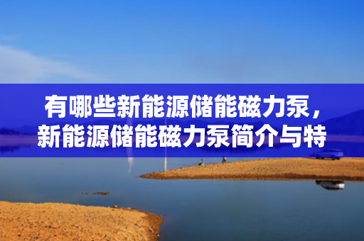 有哪些新能源储能磁力泵，新能源储能磁力泵简介与特点