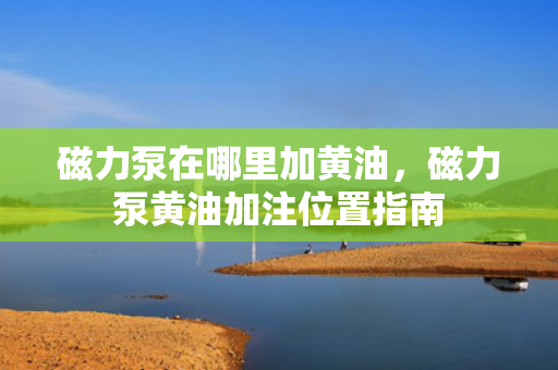磁力泵在哪里加黄油，磁力泵黄油加注位置指南