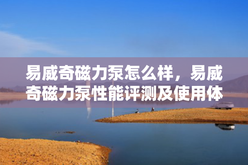 易威奇磁力泵怎么样，易威奇磁力泵性能评测及使用体验