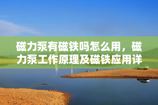 磁力泵有磁铁吗怎么用，磁力泵工作原理及磁铁应用详解